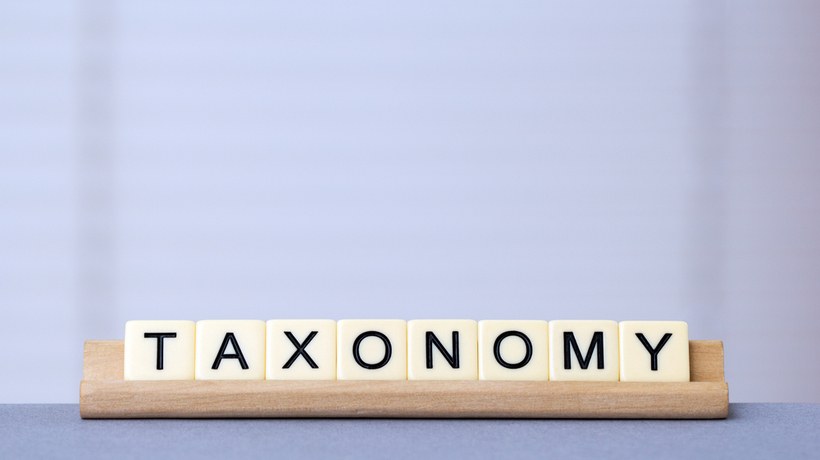 The 60-Second Guide To Blooms Taxonomy