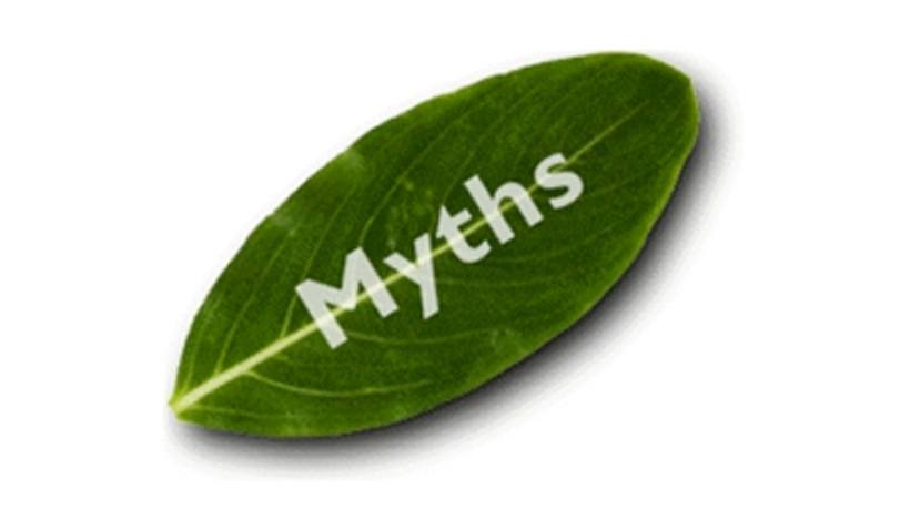 Myths and Realities Surrounding Online Learning