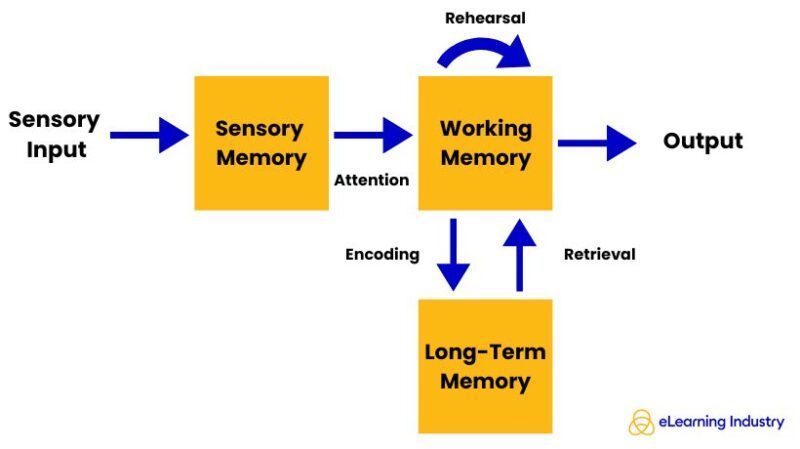 What Is Information Processing Theory? - eLearning Industry