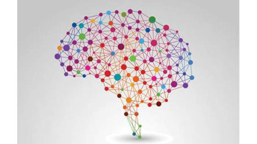 6 Scientifically Proven Brain Facts That eLearning Professionals Should Know