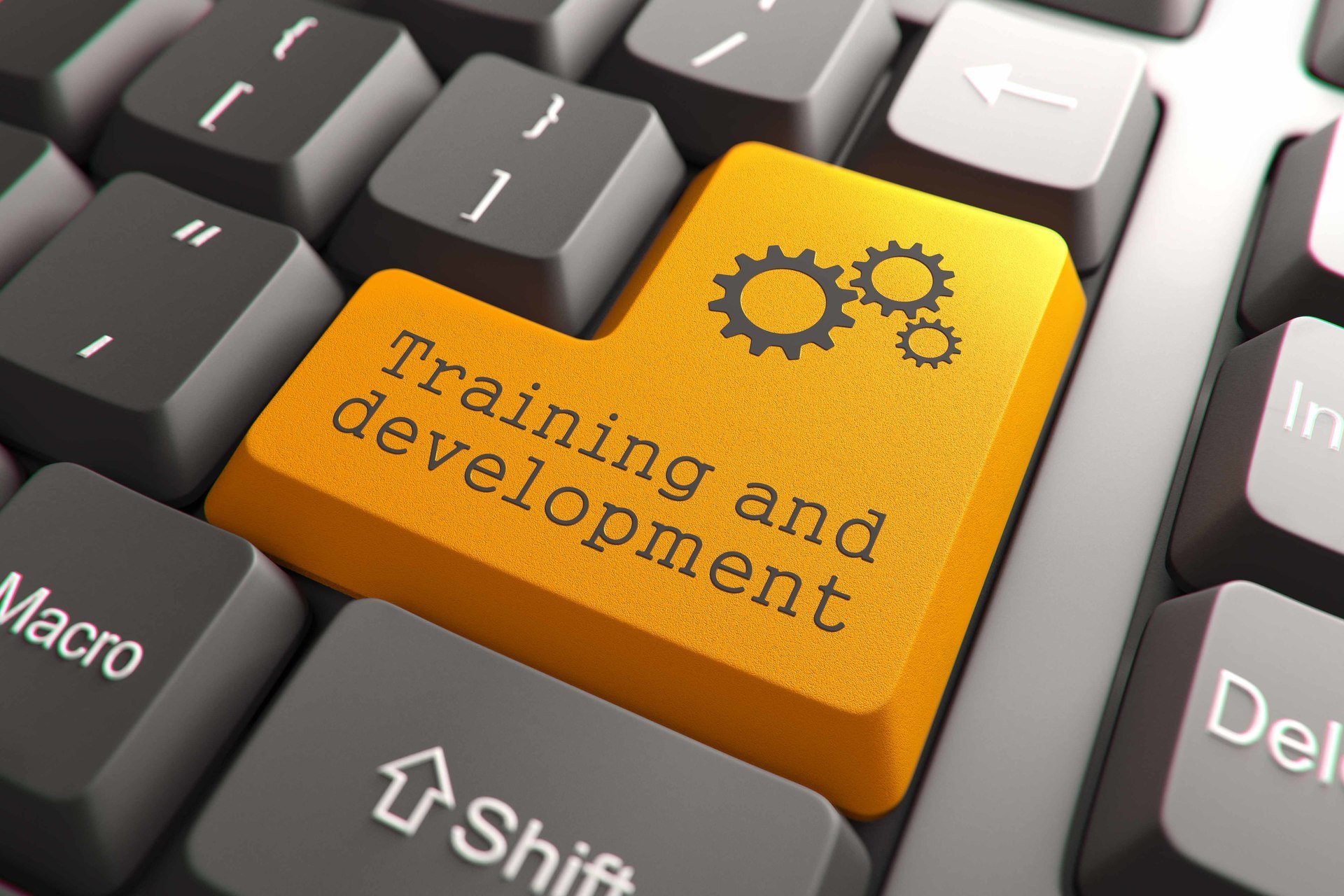Top 6 Tips To Effectively Analyze Your Company's Online Training Needs