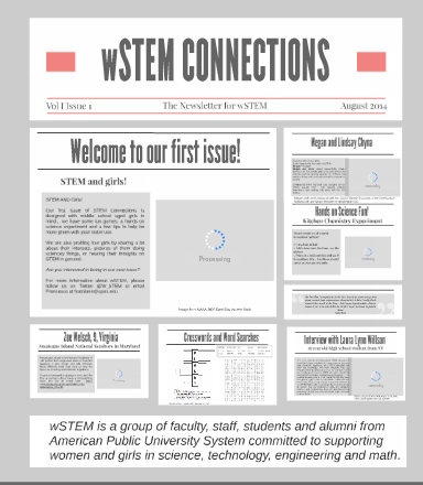 wSTEM_connections