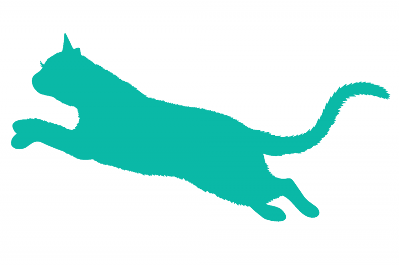 Fall In Love With eLearning: Cat jumping