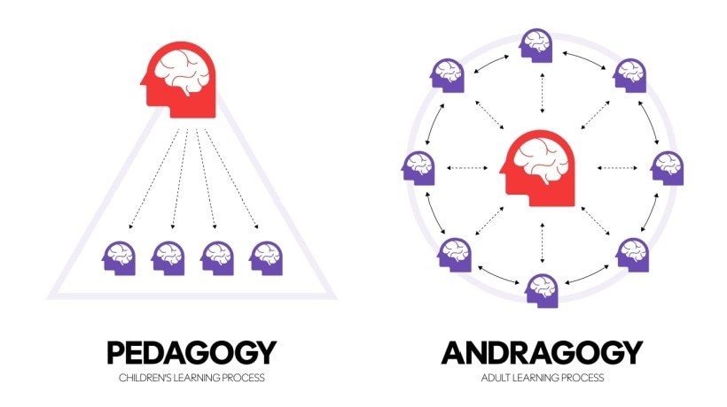 Pedagogy Vs Andragogy In eLearning: Can You Tell The Difference?