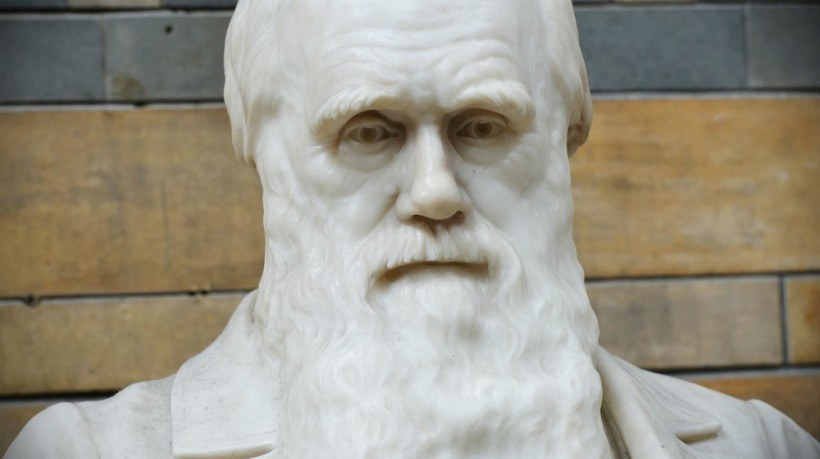 Knowledge Mining: What Can Darwin Tell Us About Instructional Design?