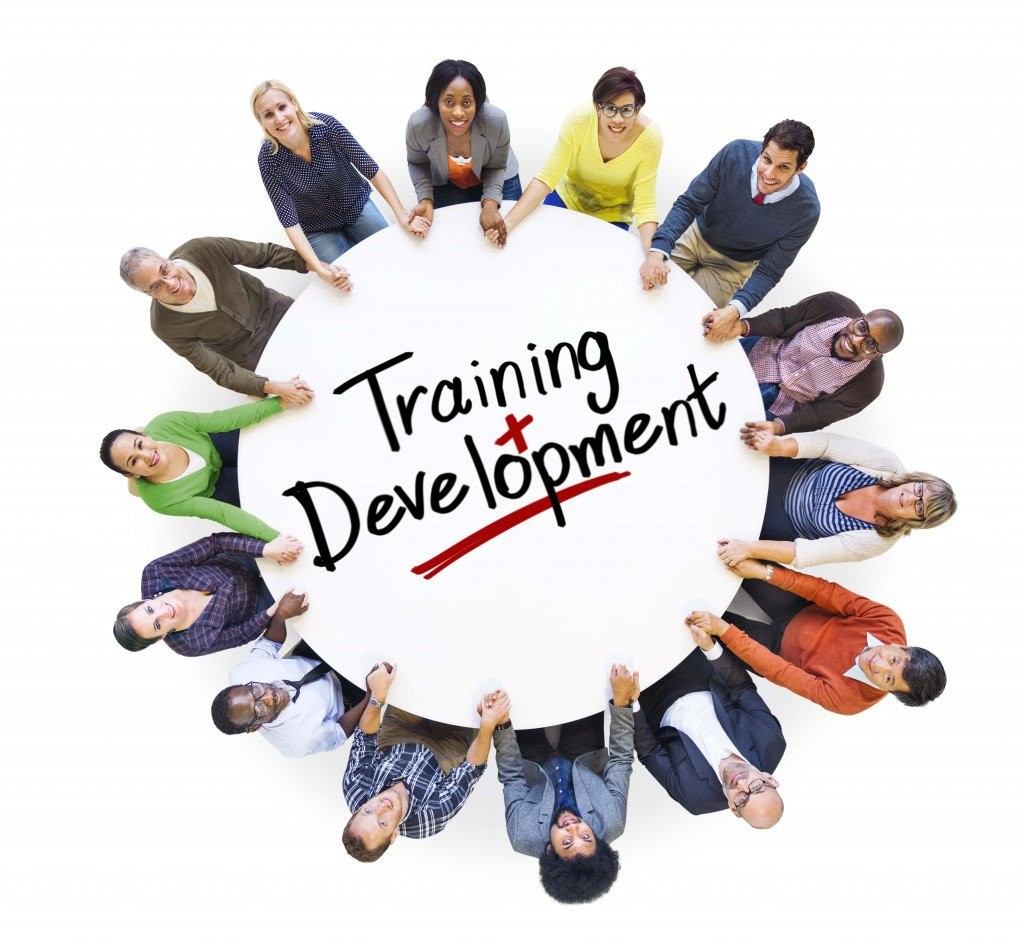 Learning And Development: Anyone Can Do It… Right?