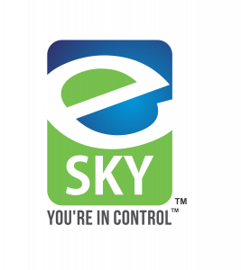 e-SKY Solutions logo