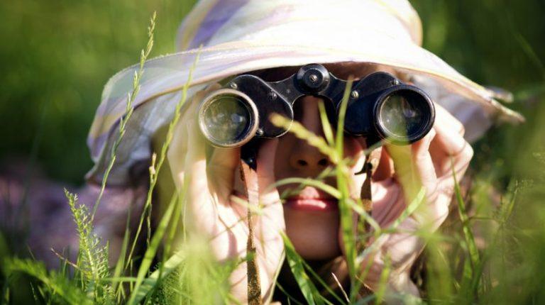10 Tips To Help You Find The Right eLearning Development Company