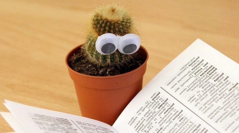 7 Dirty Myths About eLearning Students Still Believe