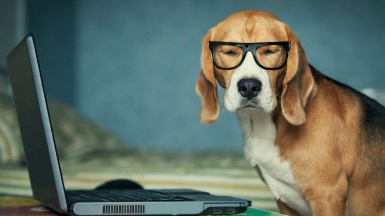 5 Tips To Use Classical Conditioning In eLearning