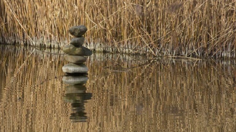 7 Tips To Balance Study, Work, And Personal Life