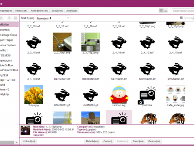 Screenshot of Lumesse CourseBuilder