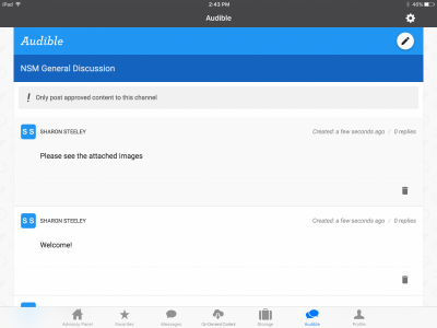 Screenshot of Scrimmage