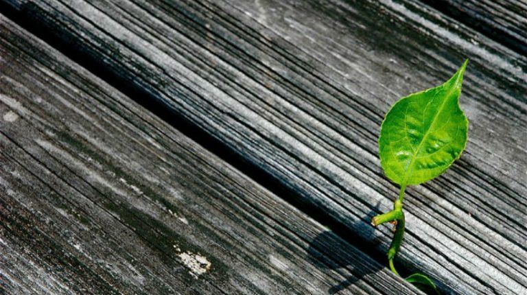 Interview: Big Data And New People Management Based On Data