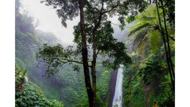 6 Things ‘I’m A Celebrity… Get Me Out Of Here!’ Can Teach L&D