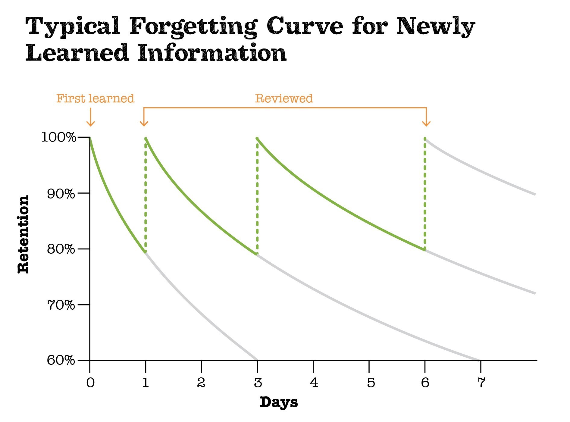 Forgetting Curve and the Value of Repetition