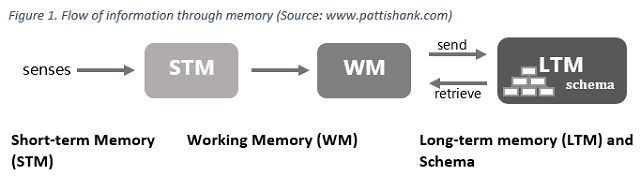 figure-1-memory-flow