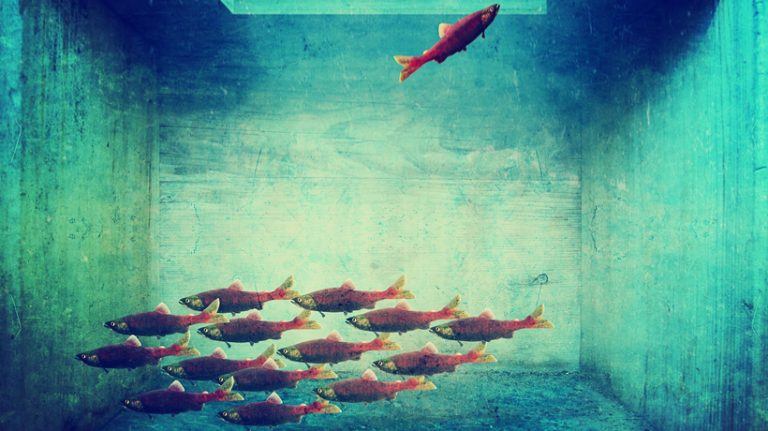 7 Tips To Improve Lateral Thinking Skills In eLearning