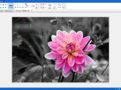 Screenshot of ActivePresenter