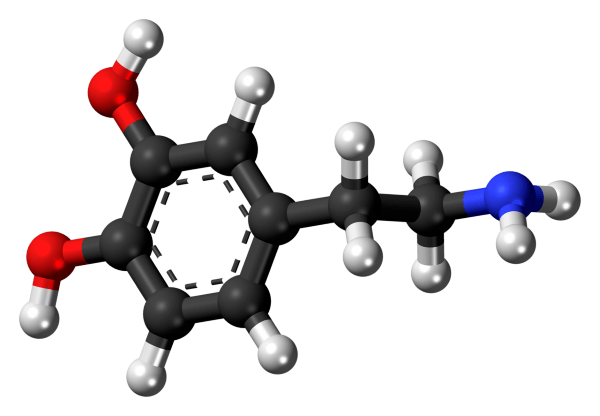 dopamine molecular structure