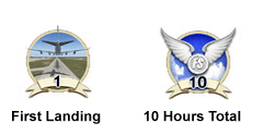 Flight Simulator badges of achievement