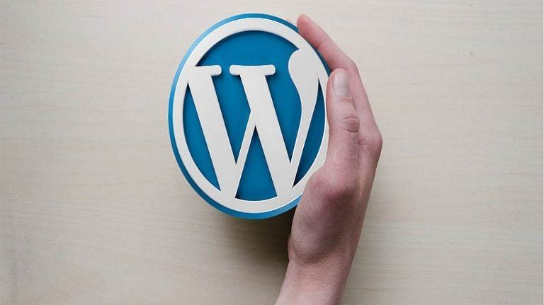 Top 5 Reasons Why You Must Have Premium WordPress Theme For Your Blog