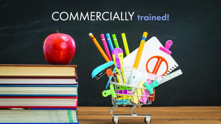 Set Up Shop: How To Create And Sell Courses With TalentLMS