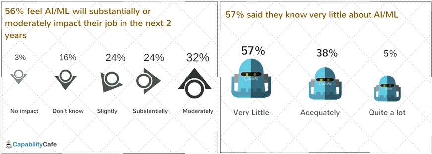 CapabilityCafe AI Survey