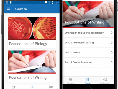 Screenshot of Brightspace LMS