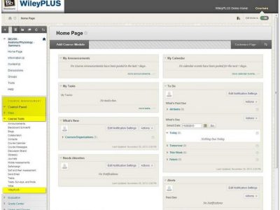 Screenshot of Blackboard Business LMS
