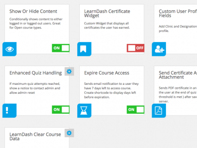 Screenshot of Learndash