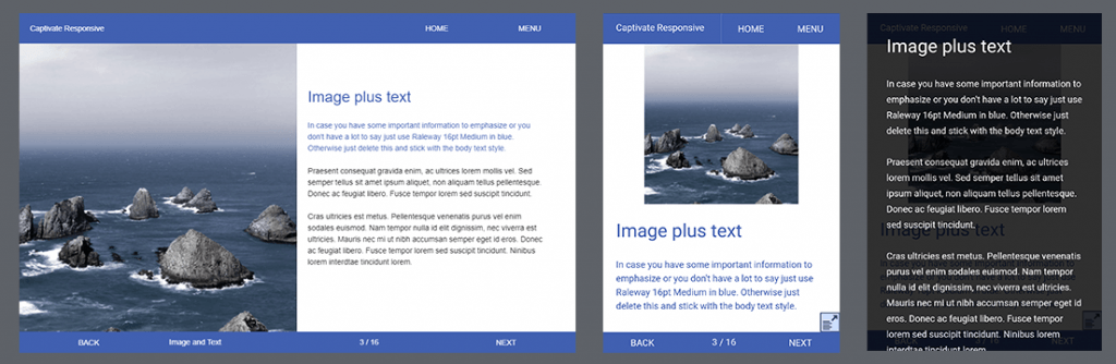 Fluid Boxes in Adobe Captivate 2017: Key to Responsive eLearning
