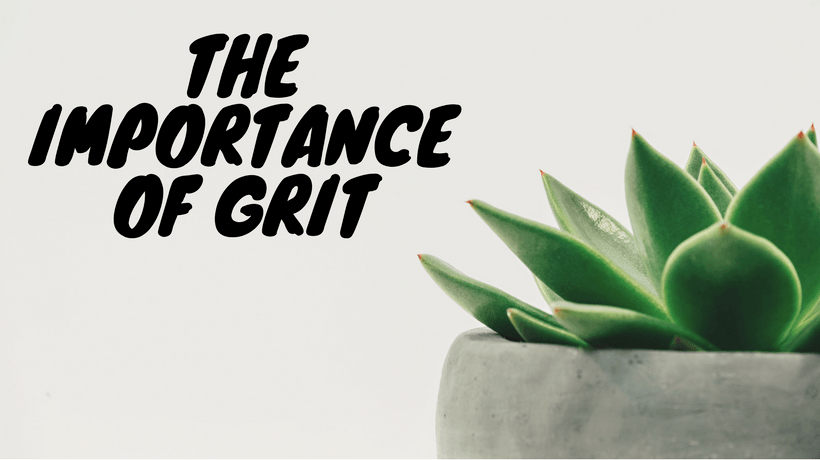 The Importance Of Grit