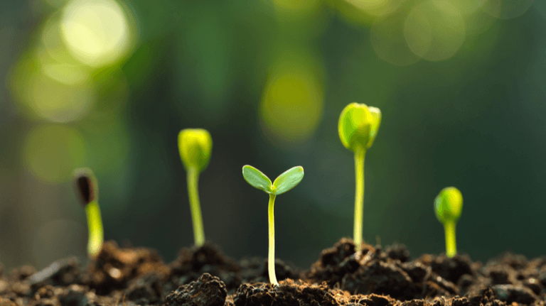5 Steps For Growing Your Desired Corporate Culture