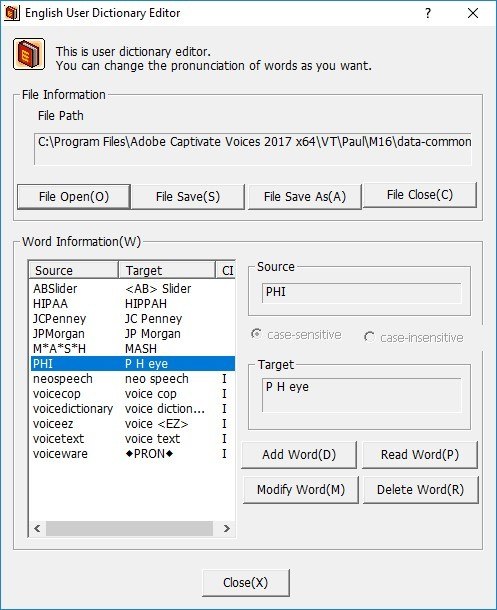 Figure 12. Editing the Voice Dictionary