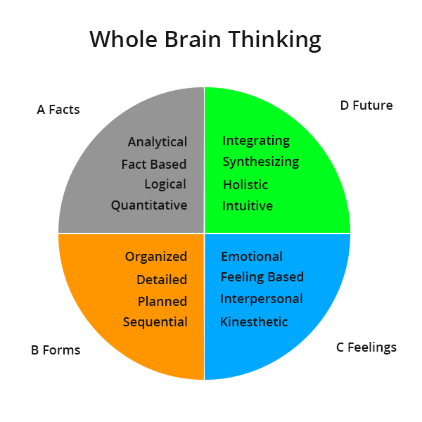 Whole Brain Thinking