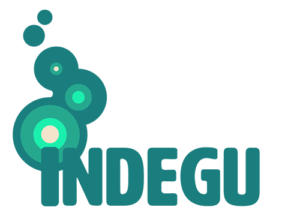 Indegu Ltd logo