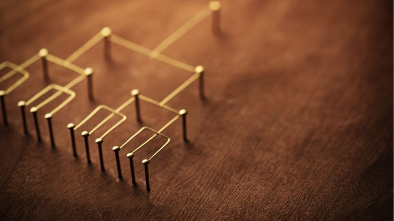 6 Traits That All Successful Workforce Development Programs Have In Common