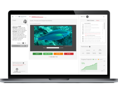 Screenshot of Area9 Rhapsode™