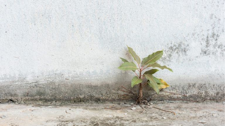Why Adaptive Learning Is Exactly What Corporate eLearning Needs