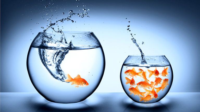 6 Sure-Fire Ways To Improve Your External Partner Online Training Course Today