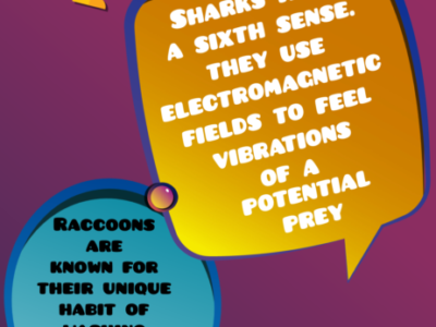 Screenshot of BubbleBud Kids Universe