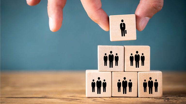 Survey-Guided Organization Development