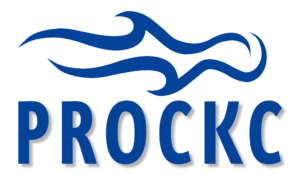 PROCKC VENTURES PRIVATE LIMITED logo