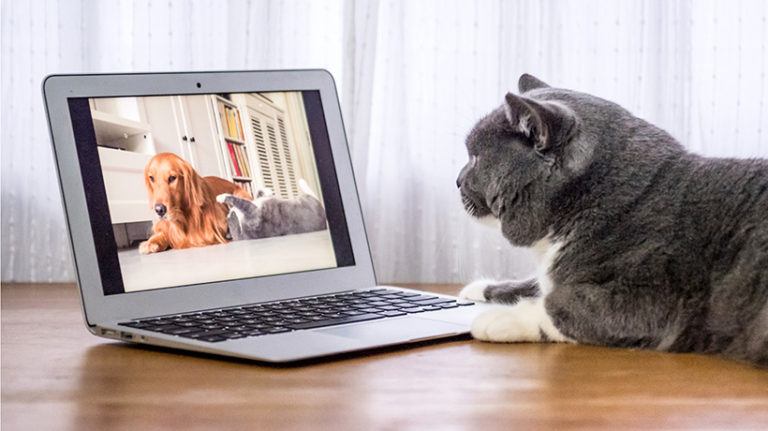 The Online Disinhibition Effect (Part 2 of 2)