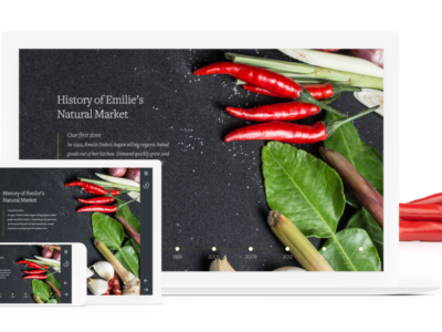 Screenshot of Articulate 360