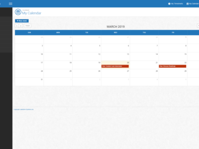 Screenshot of Leantime