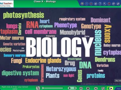 Screenshot of Digital Teacher