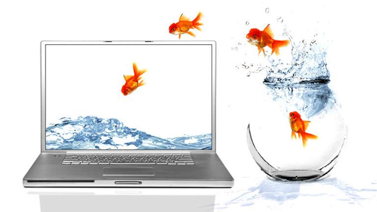 Using Realistic Graphics In Your Online Course