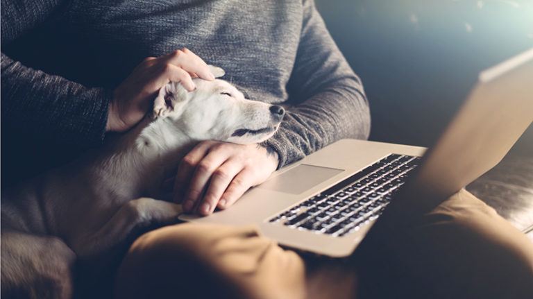 WFH Scenarios: New Office, New Obstacles